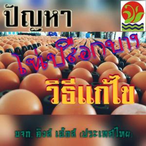 ปัญหาไข่ไก่เปลือกบาง..